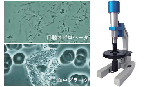 位相差顕微鏡